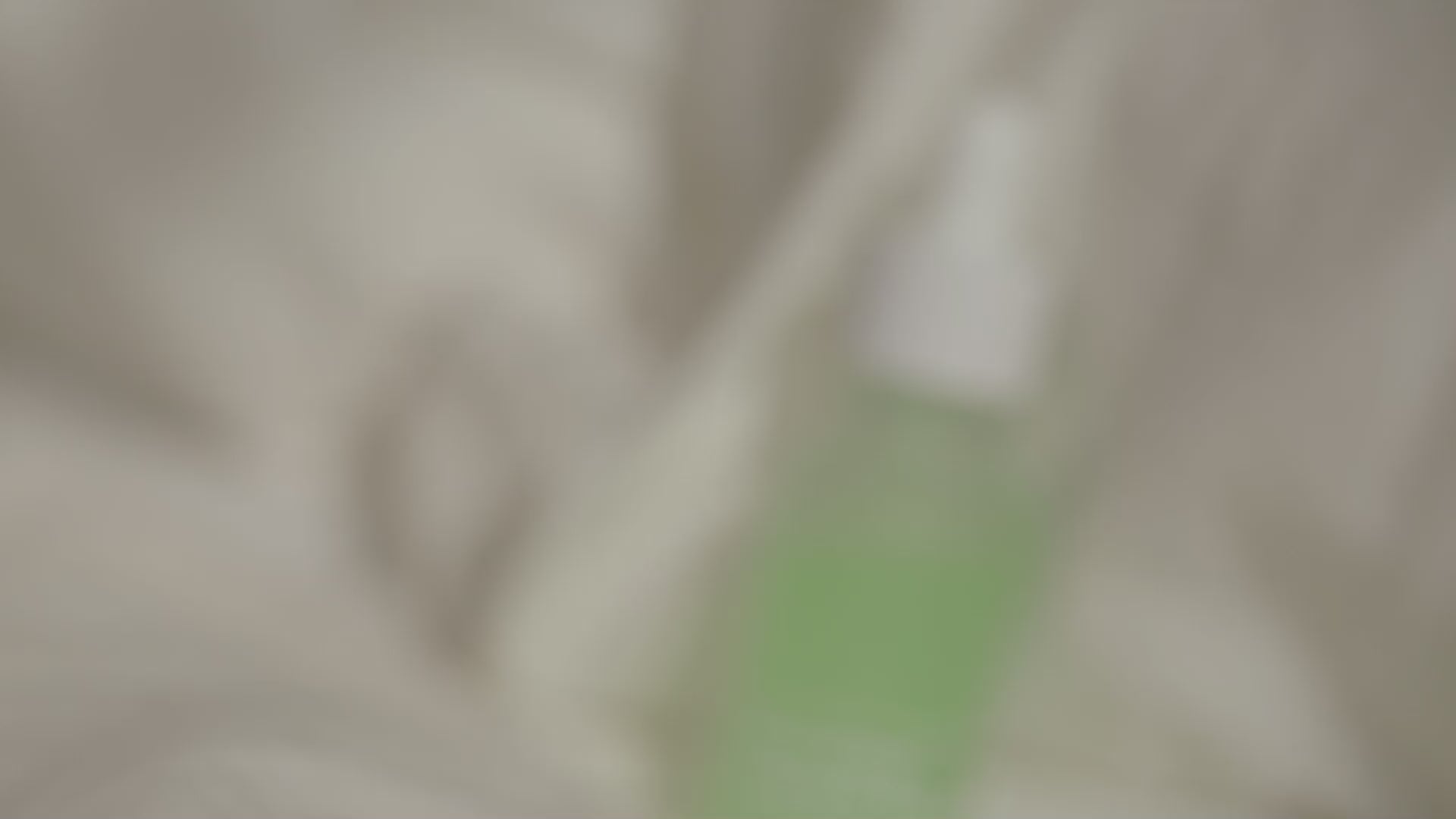 One day's you Cicaming Ampoule Serum Video